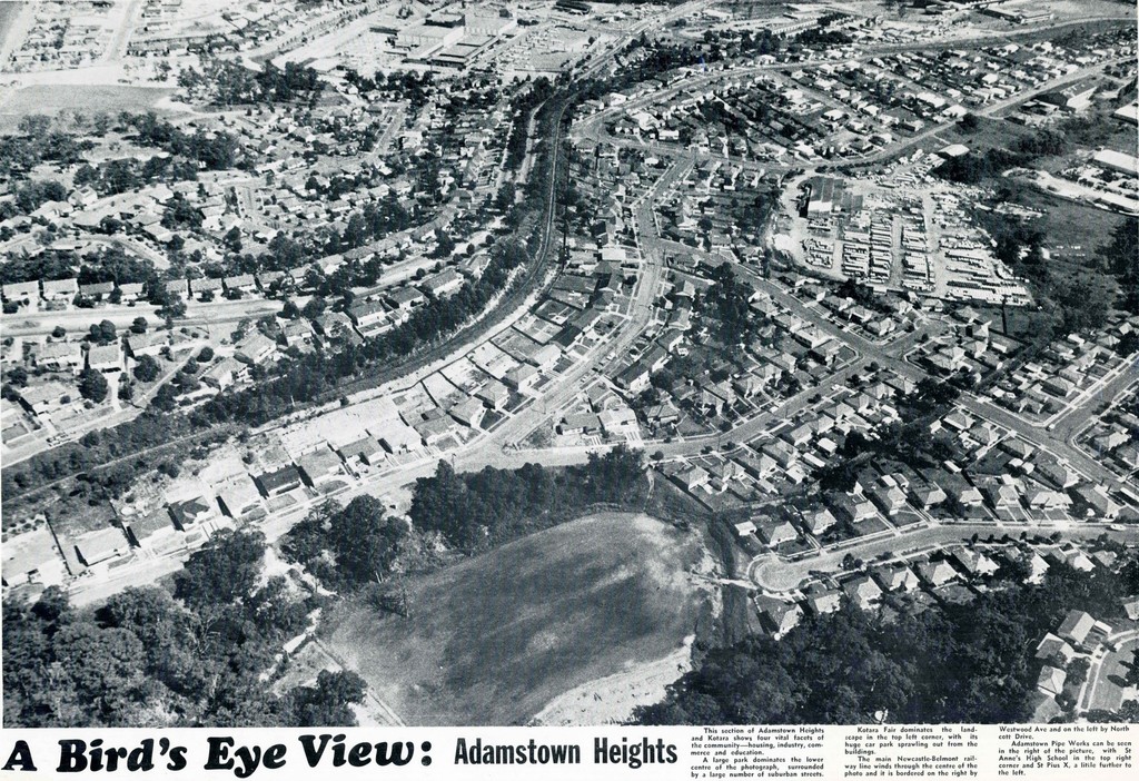 Adamstown Heights. A Bird's Eye View