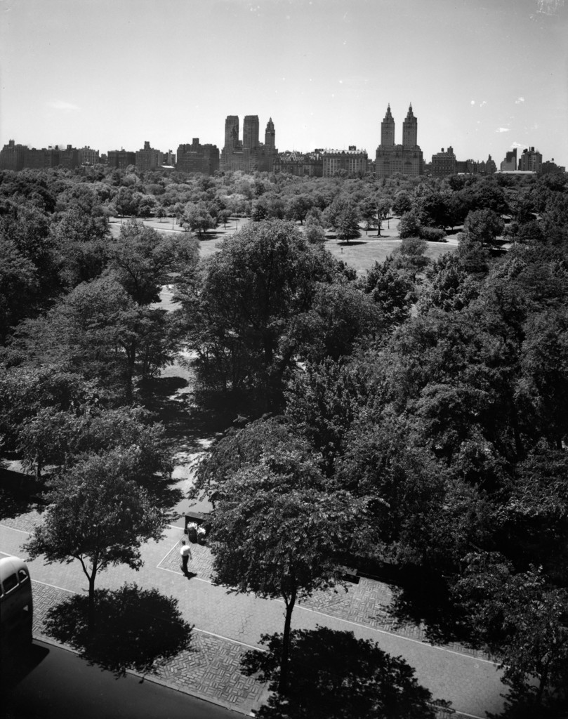 Central Park looking toward apartment buildings on Central Park West