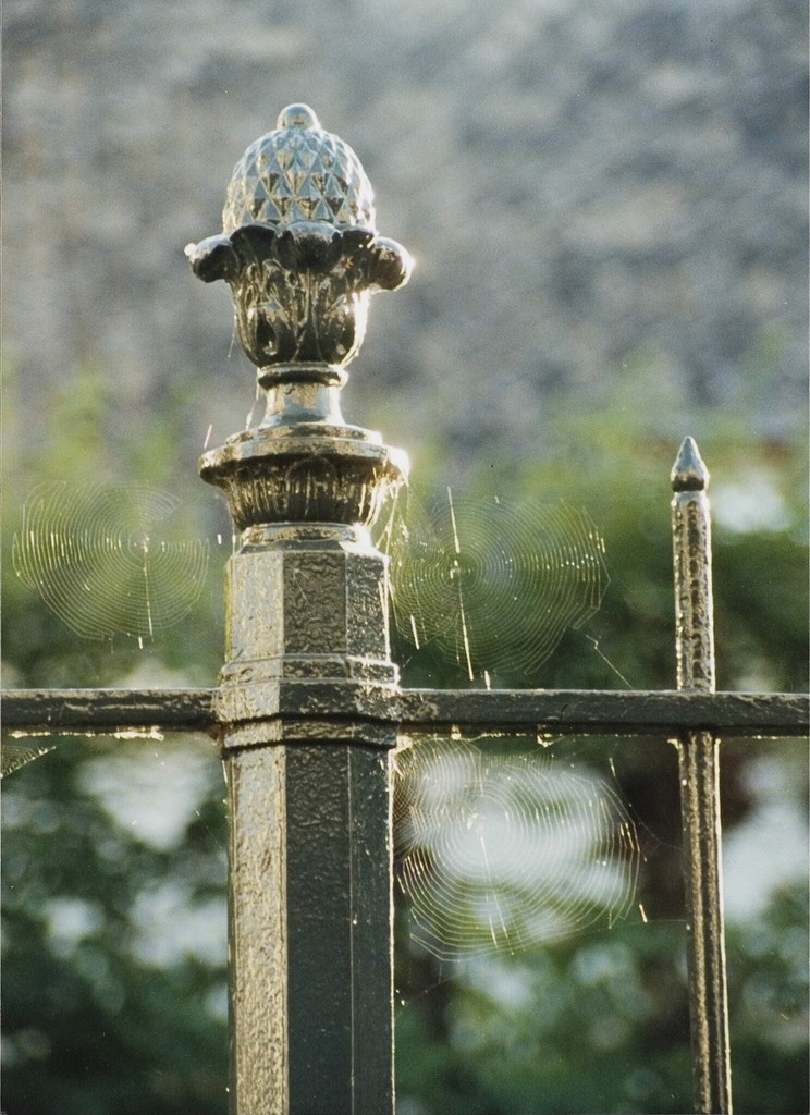 Hof van Sonoy. Detail van het hek langs de binnenplaats aan de Gedempte Nieuwesloot