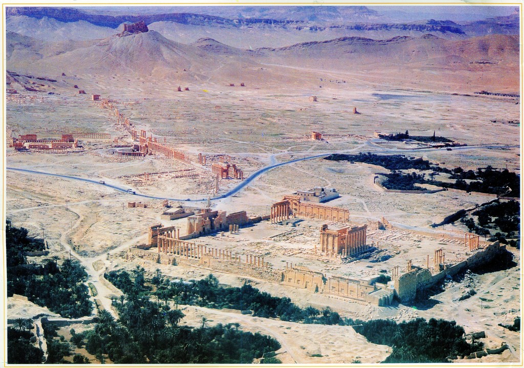 General view of Palmyra