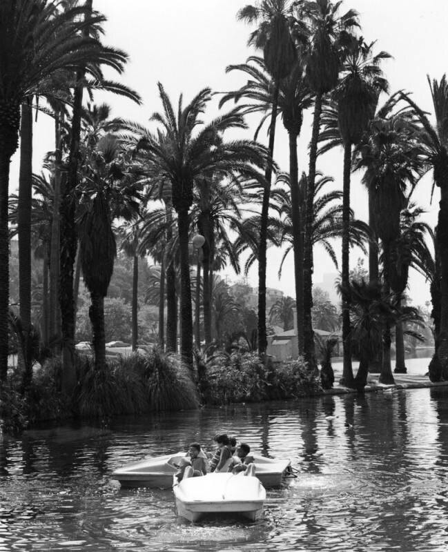 Paddle boats in Echo Park