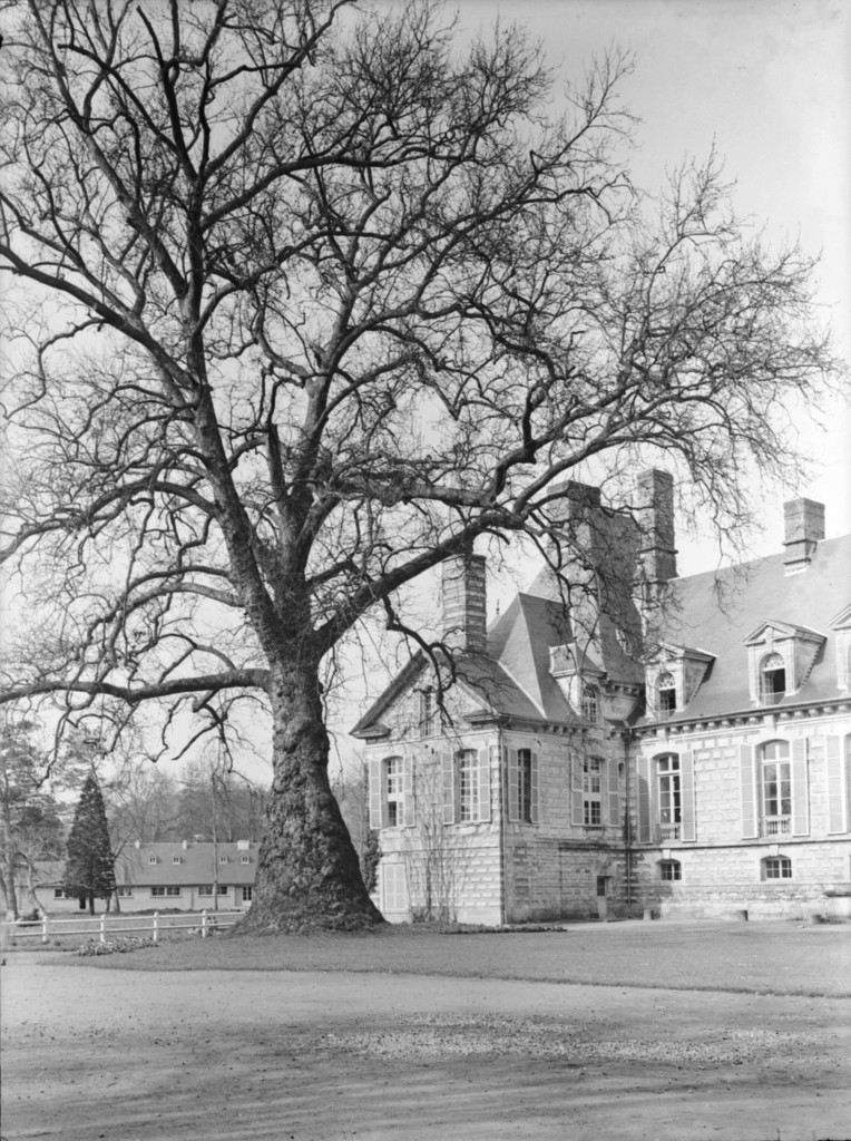 Château de Fervaques ou le Kinnor : orme et château