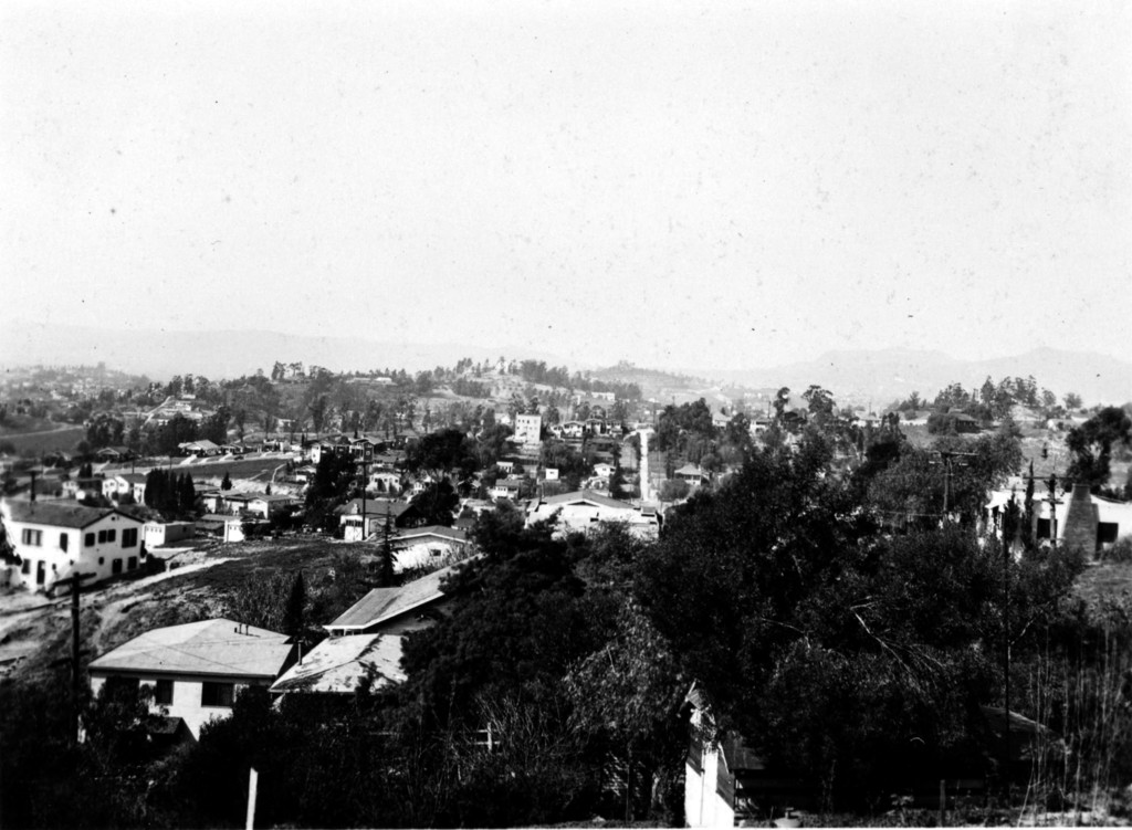 View from Elysian Park towards the west