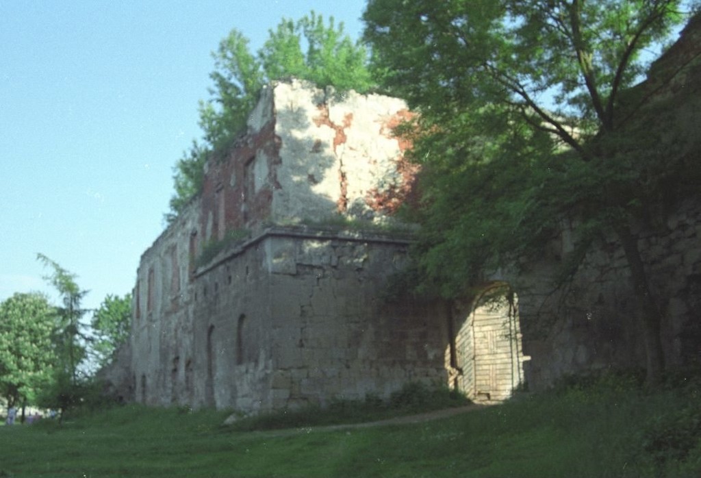 Руїни замку Сеновського