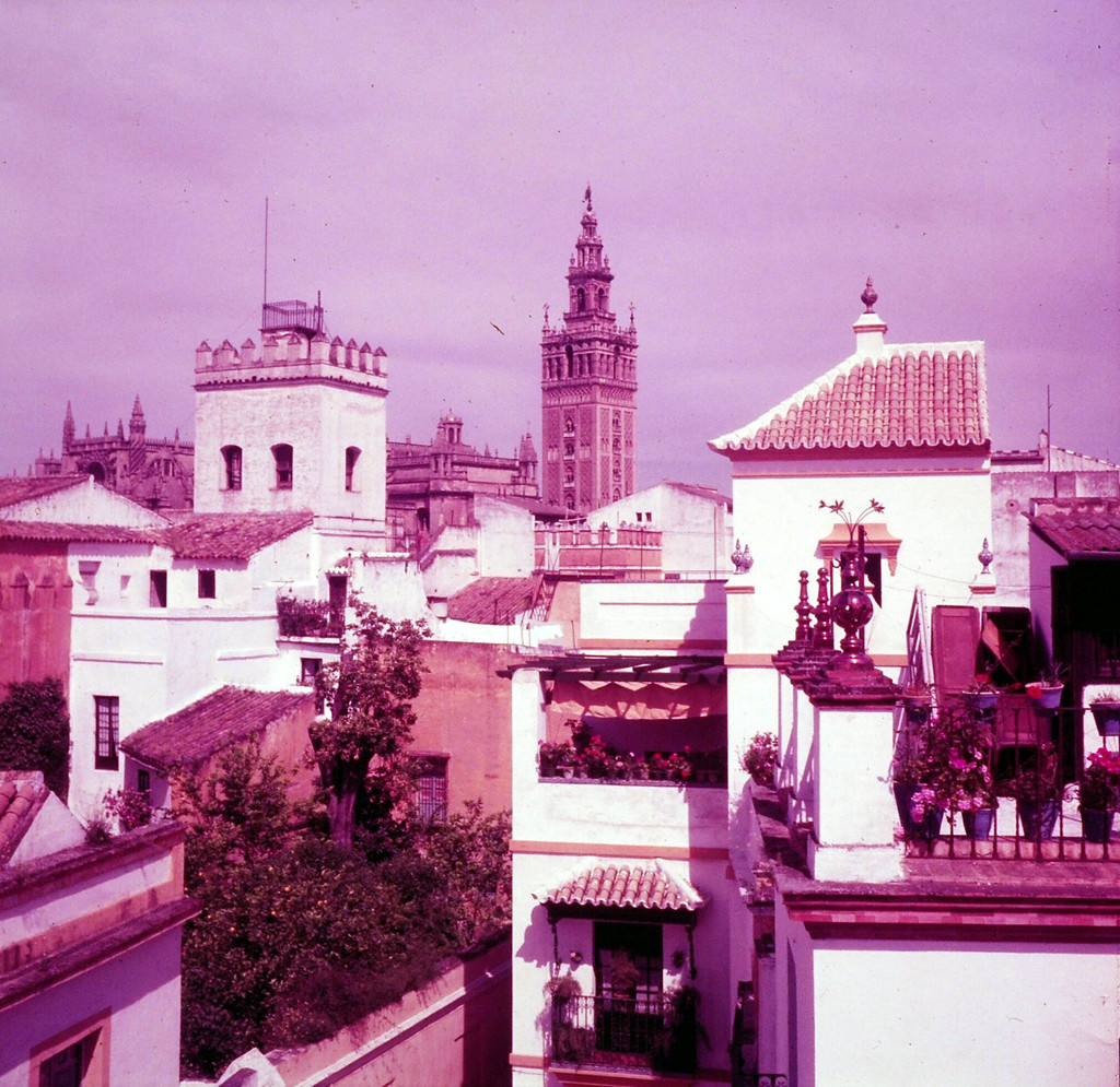 Sevilla, Calle Vida