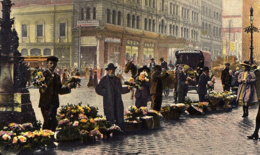 Flowers sellers, Martin Place