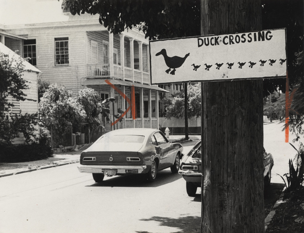 Key West. Duck crossing on Eaton Street