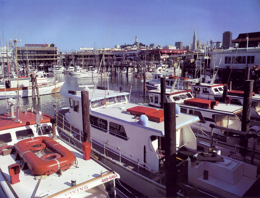 Charter fishing boats. Fisherman's Wharf