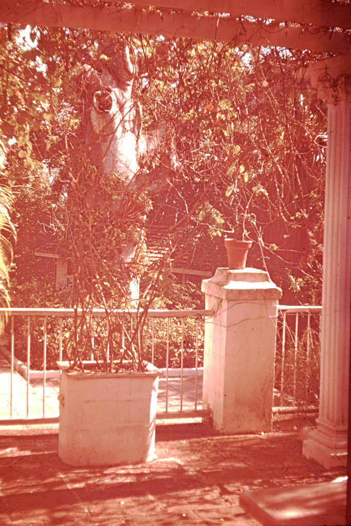 Finca Vigía, the home of Ernest Hemingway in San Francisco de Cuba (I)