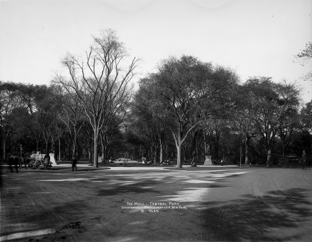 The Mall - Central Park