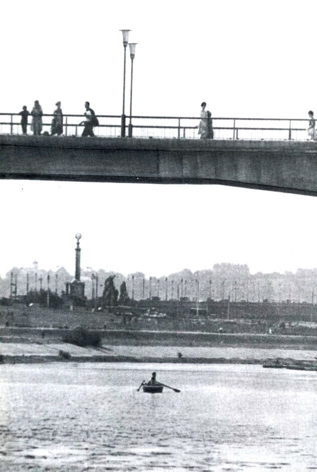 Вид на міст Патона з під Пішохідного моста на Русанівку