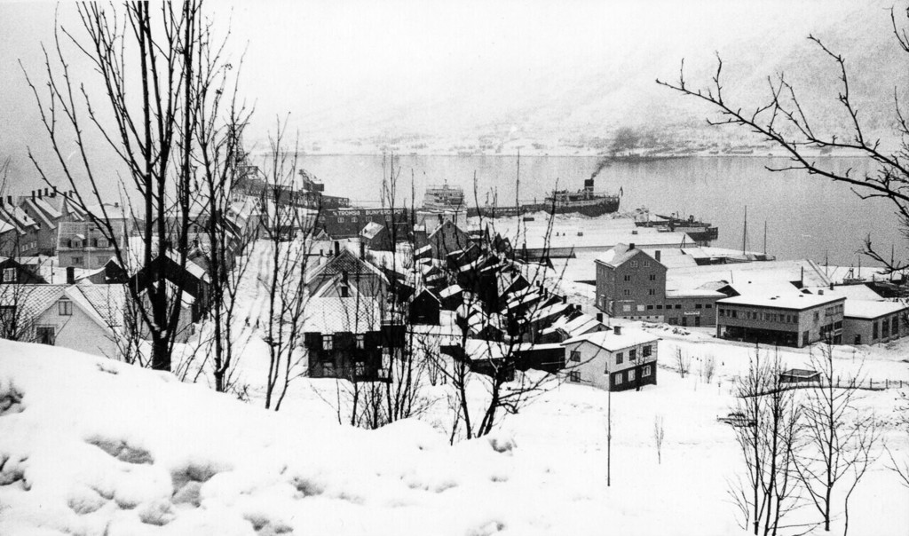Hansjordnes i Tromsø