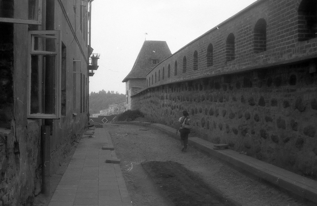Vilniaus miesto siena