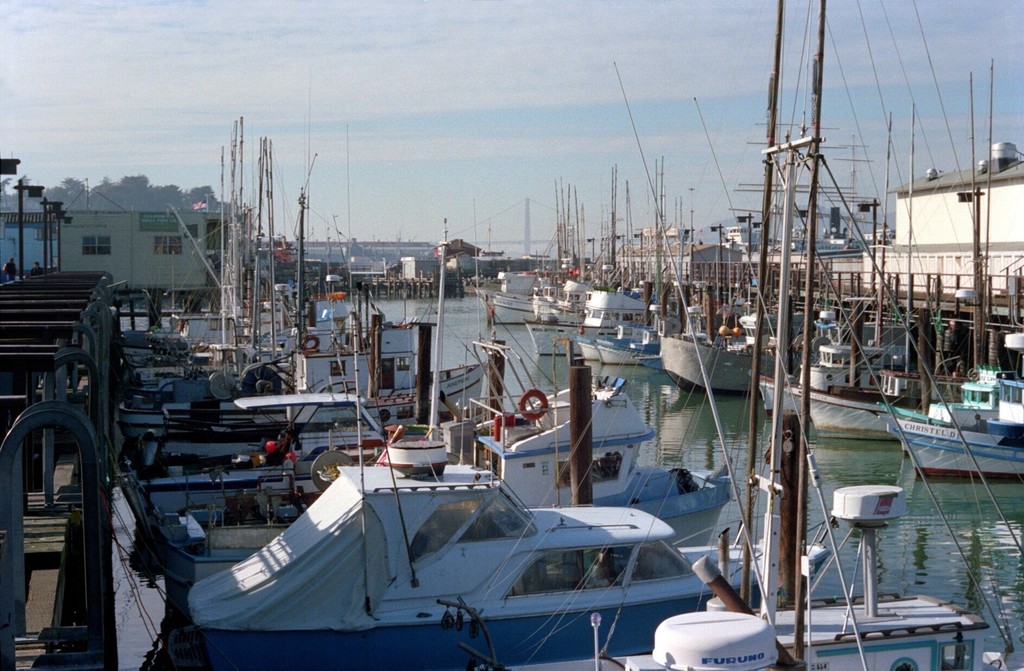 Fisherman Wharf. AL Scoma Way