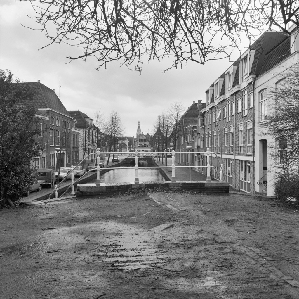 Alkmaar .overzicht Baangracht vanaf Kennemerpark