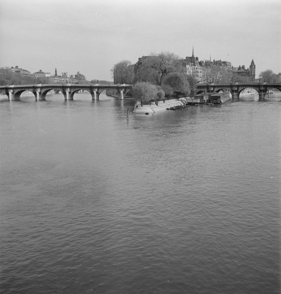 La Seine, à l'Ile de la Cité, pointe du Vert-Galant