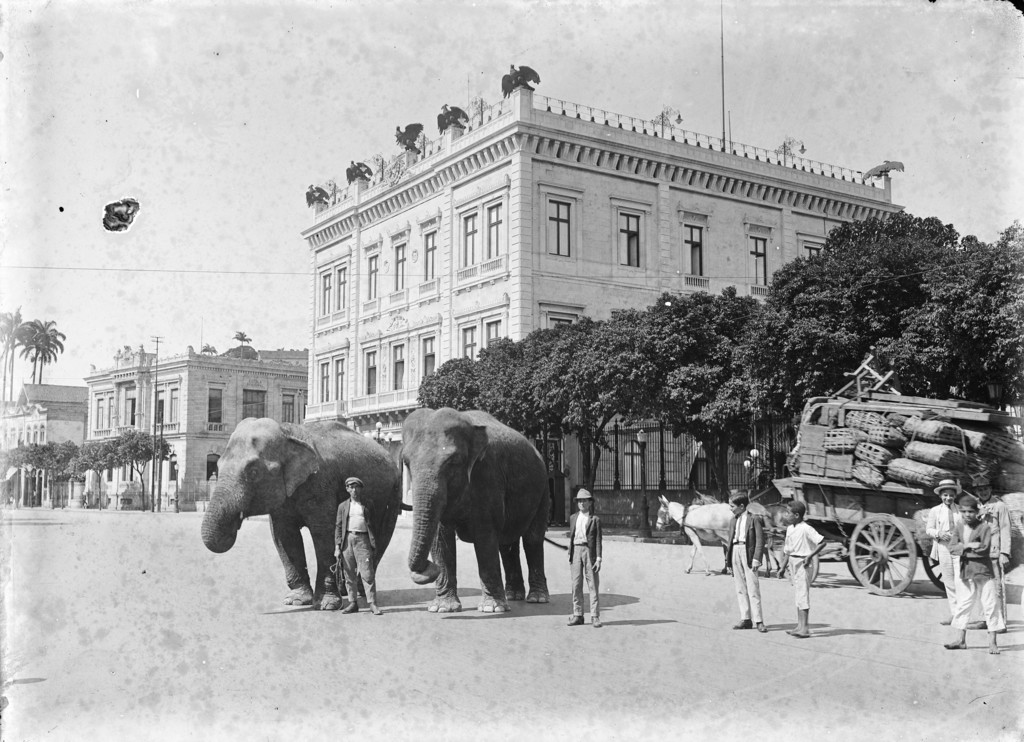 Dois elefantes diante do Palácio do Catete
