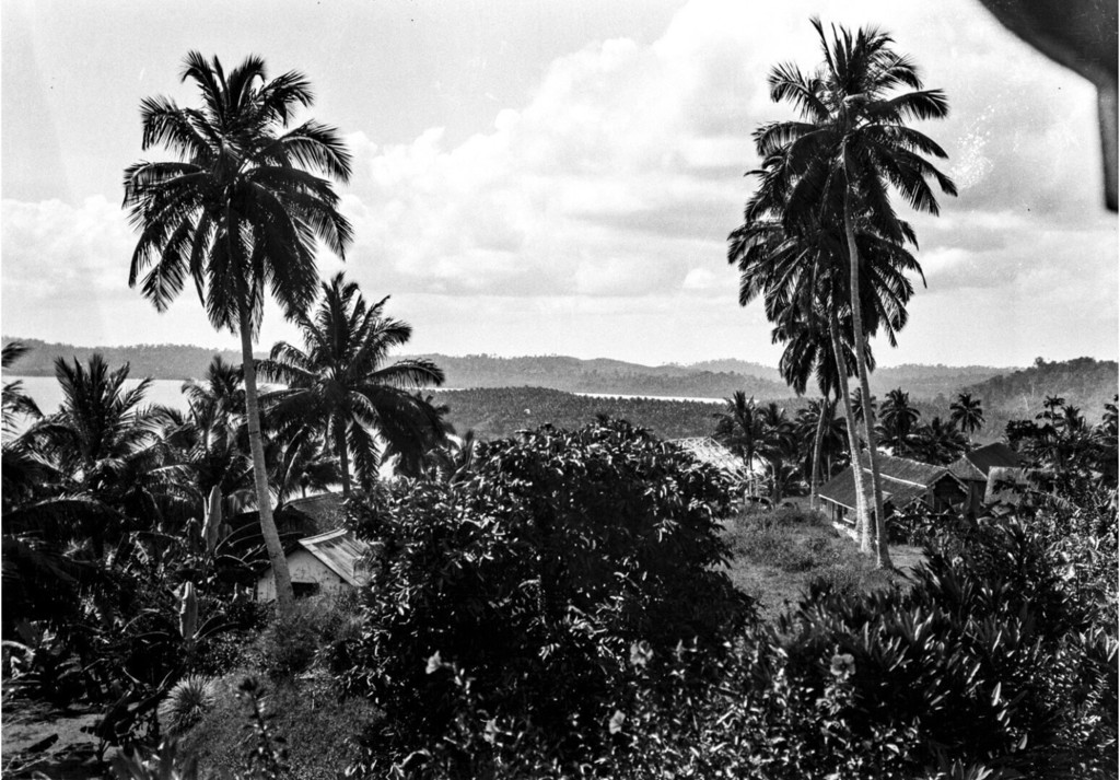 Island of Viper. View from the plantation area of Alphonse Wernigg