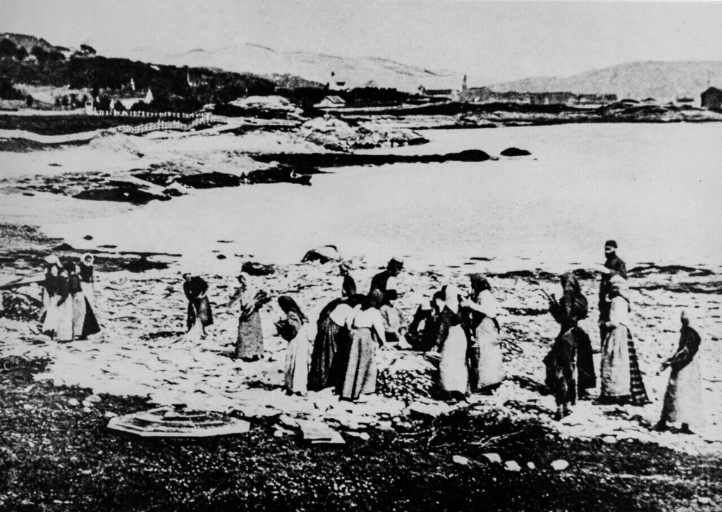 Kvinner tørker klippfisk på Lanes i Tromsø