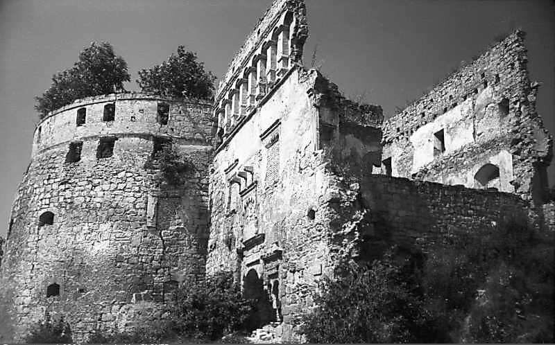 Руїни замку Сенявського. Дветс і Південна вежа