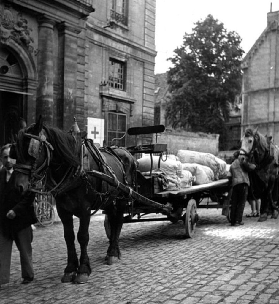 Horses bring food to civilians hidden in the Abbey