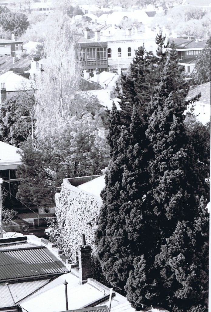 East Melbourne, view from roof of building at 100 Wellington Parade
