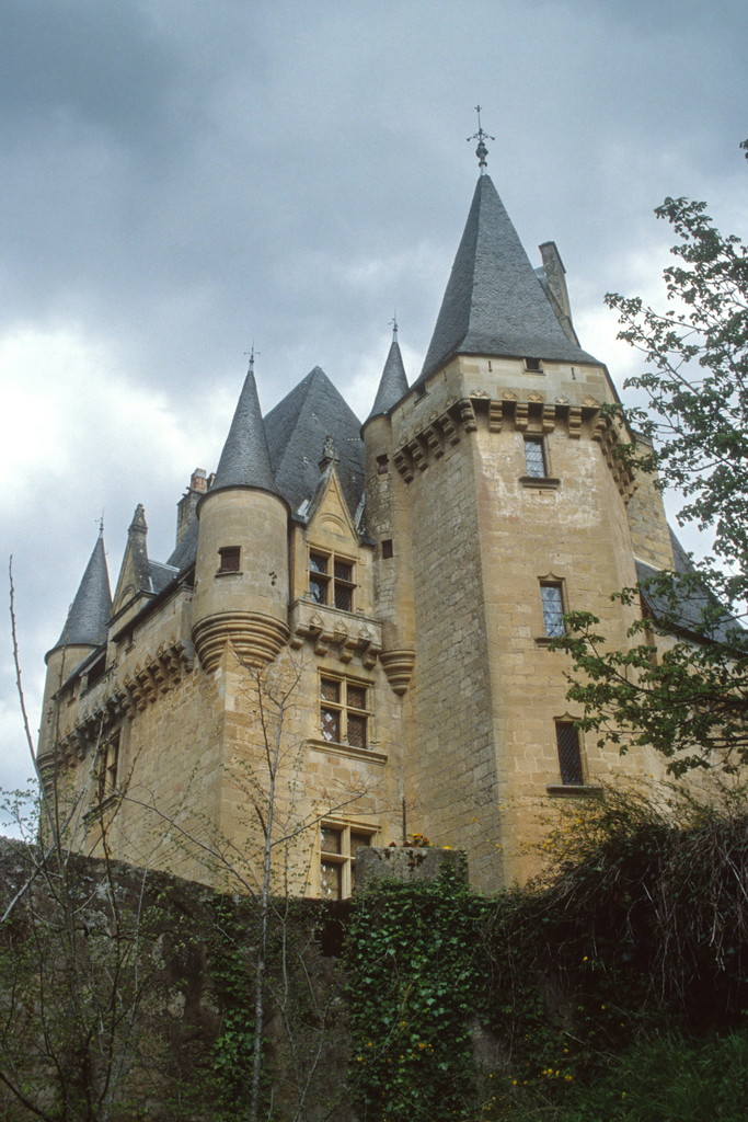 Saint-Léon-sur-Vézère. Château de Clérans