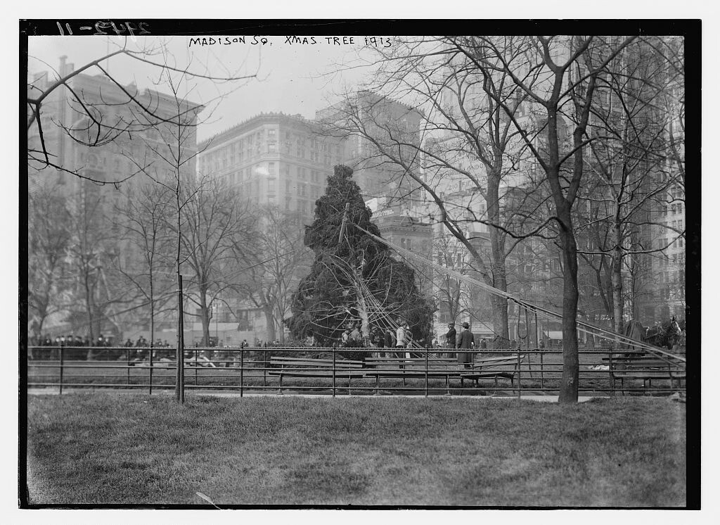 Madison Square Park. Mounting of the Christmas tree