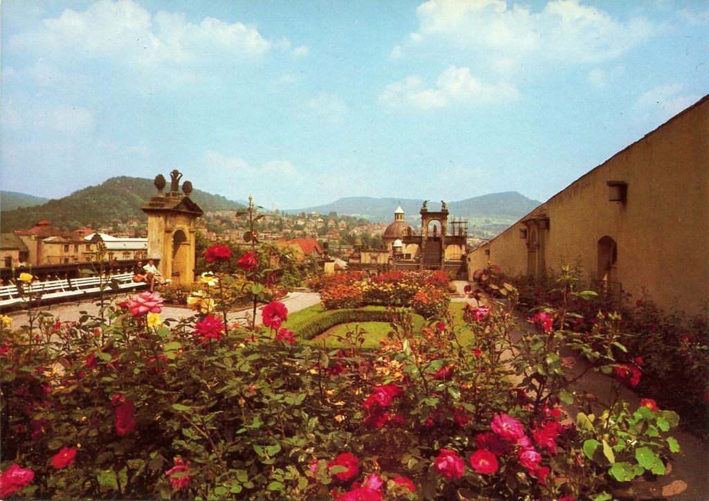 Růžová zahrada / Розовый сад