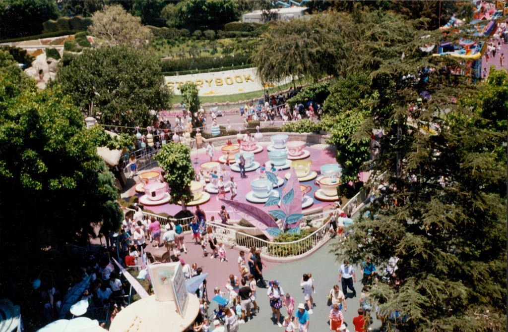 Teacups from the Skyway