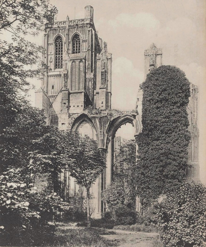 Saint-Omer, Ruines de l'Abbaye de St. Bertin