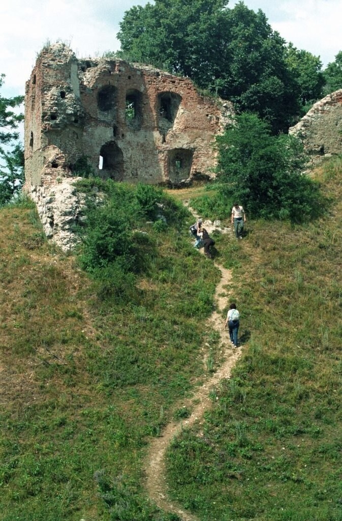 Руїни галицького замку