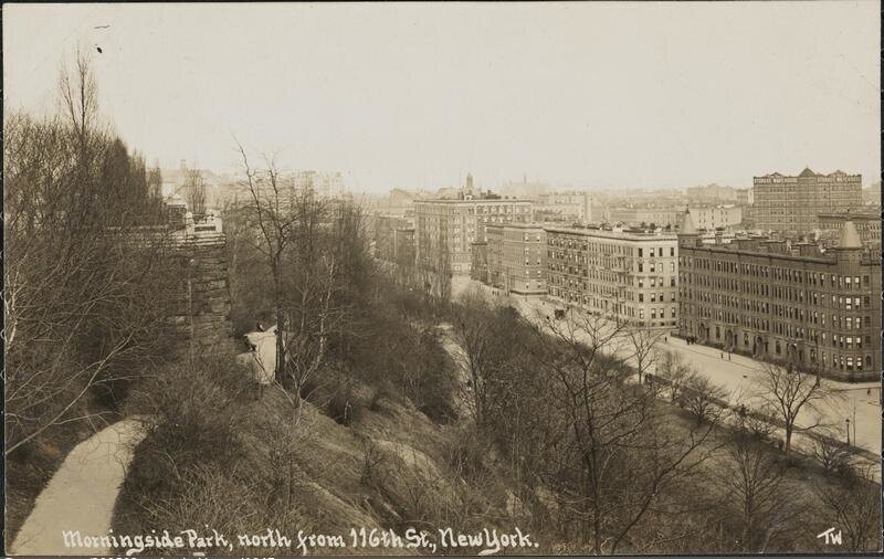 Morningside Heights, north from 116th St., New York.