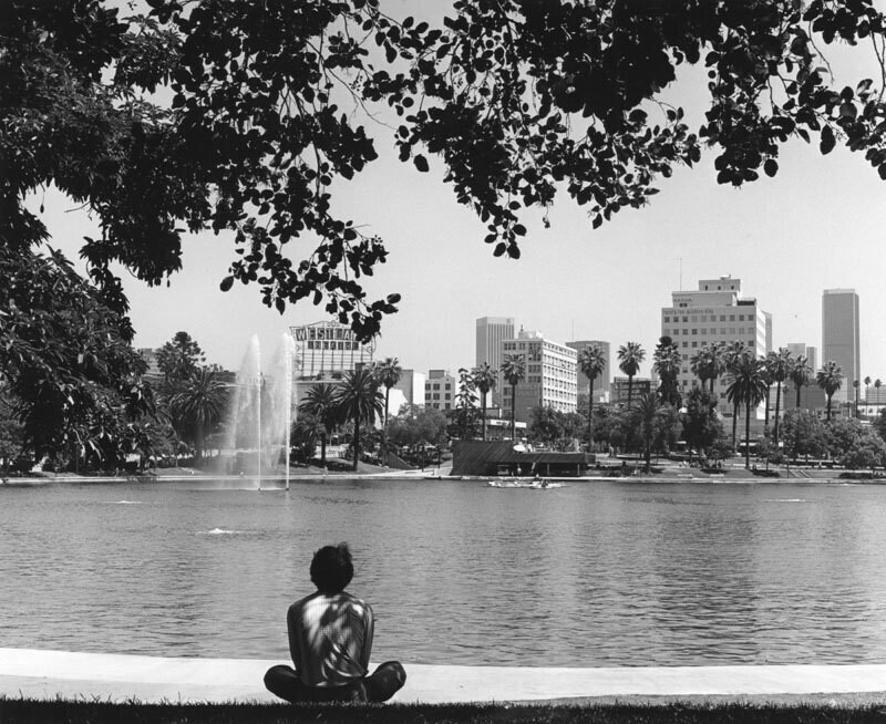 Contemplating MacArthur Park
