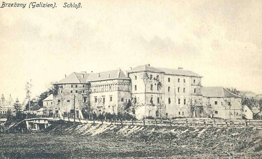 Сеньовський замок