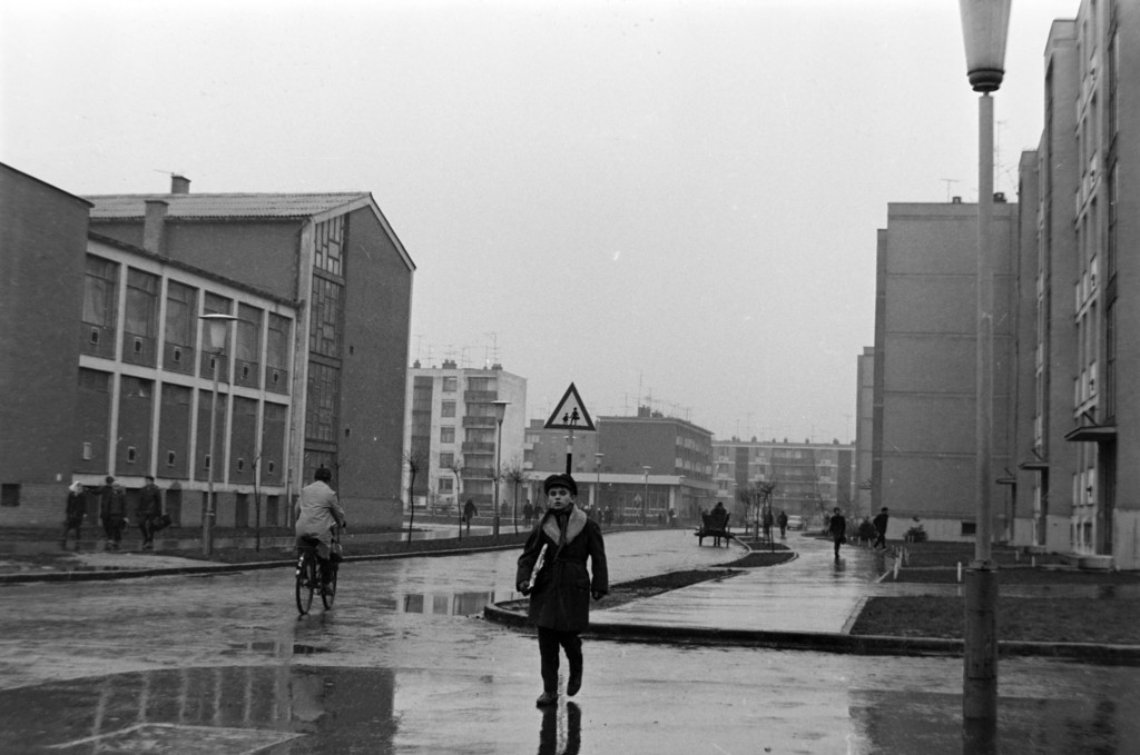 Ibolya utca a Viola utcától az Egyetem sugárút (Tanácsköztársaság útja) felé nézve