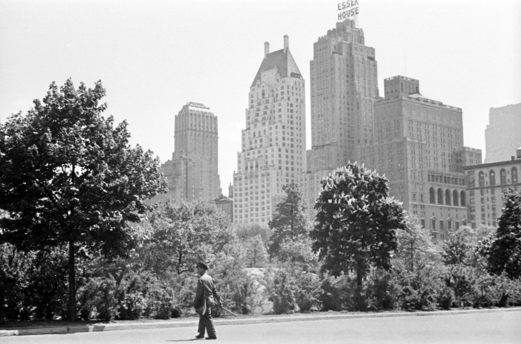View from West Drive in Central Park