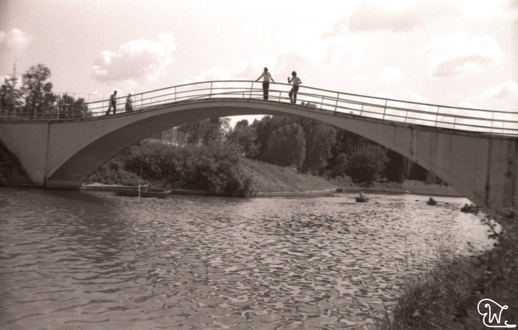Горбатый мост на Серебряно-Виноградном пруду