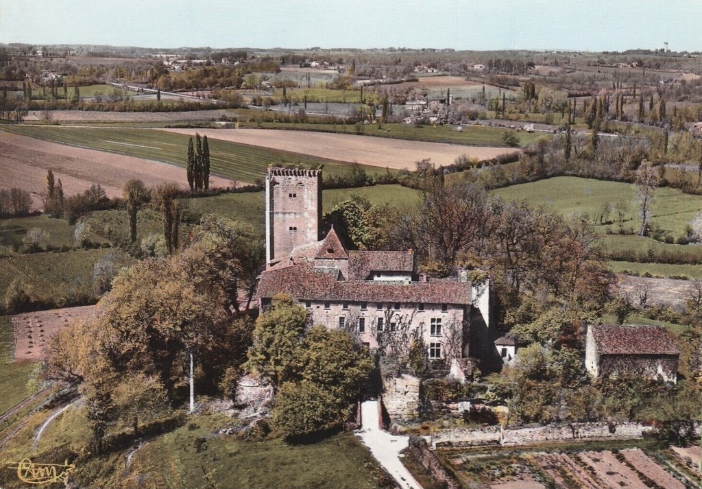 Chateau de Curton: Le Donjon. Vue aérienne