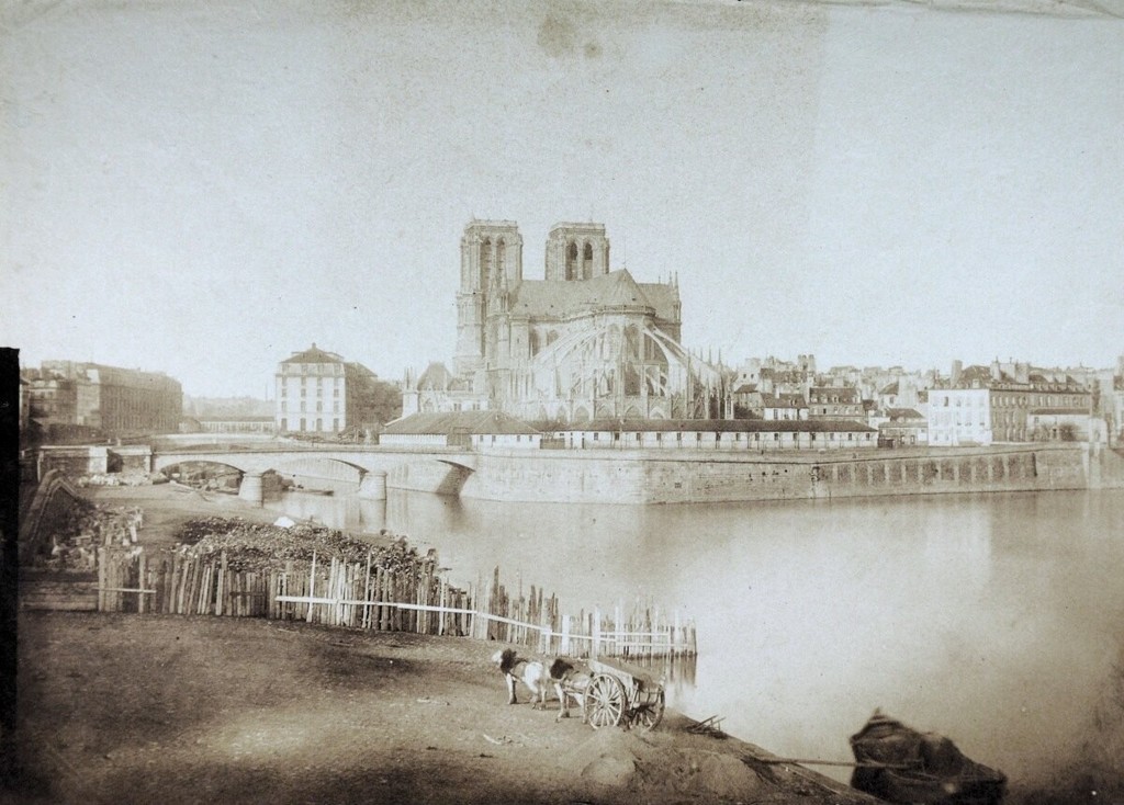 Notre-Dame de Paris et le pont de l'Archevêché vus depuis le quai de la Tournelle