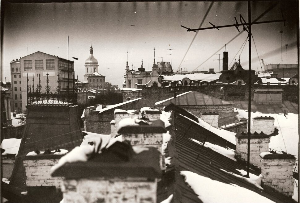 Володимирська вулиця. Вид з даху