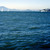 Leisure boats and Alcatraz Island