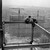 Workmen on the steel frame of multi-storey flats