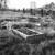 Náchod, nový židovský hřbitov, hřbitovní plocha bez náhrobků