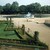 Grand bassin octogonal dans le Jardin des Tuileries