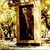 Էրեբունի-Երևան / Կենաց ծառ: Памятник Эребуни-Ереван / Древо жизни