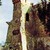Генуезки крепость.Башня Св.Костянтина