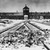 Tory kolejowe w obozie koncentracyjnym Auschwitz (Auschwitz II-Birkenau)