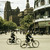 西藏路上的自行车/上海市中心的自行车