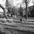 Náchod, starý židovský hřbitov, hřbitovní plocha bez náhrobků (park)